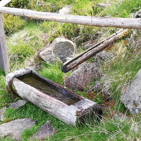 Apart Waldesruh Arzl im Pitztal Dış mekan fotoğraf