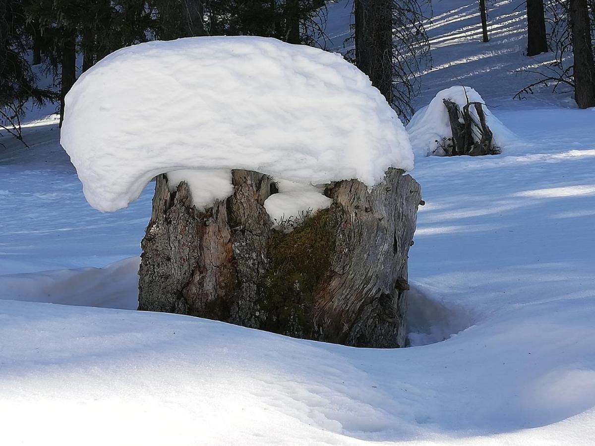 Apart Waldesruh Arzl im Pitztal Dış mekan fotoğraf