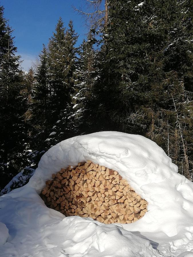 Apart Waldesruh Arzl im Pitztal Dış mekan fotoğraf