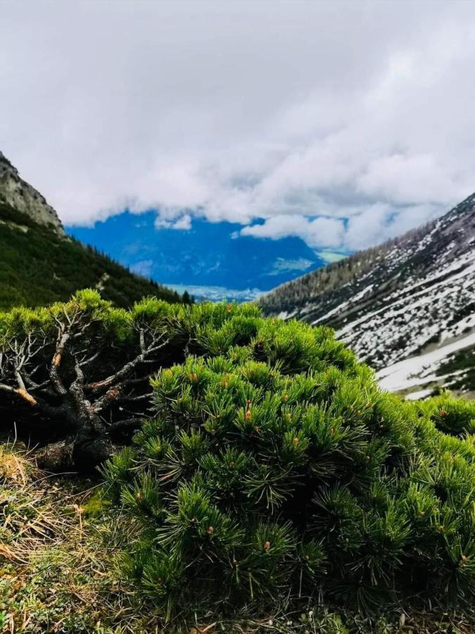 Apart Waldesruh Arzl im Pitztal Dış mekan fotoğraf
