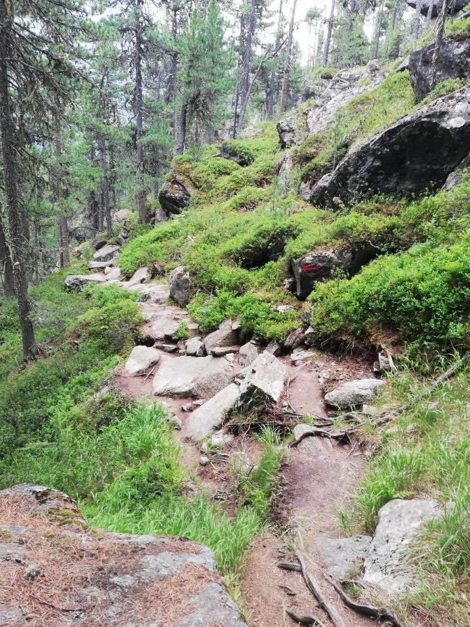 Apart Waldesruh Arzl im Pitztal Dış mekan fotoğraf
