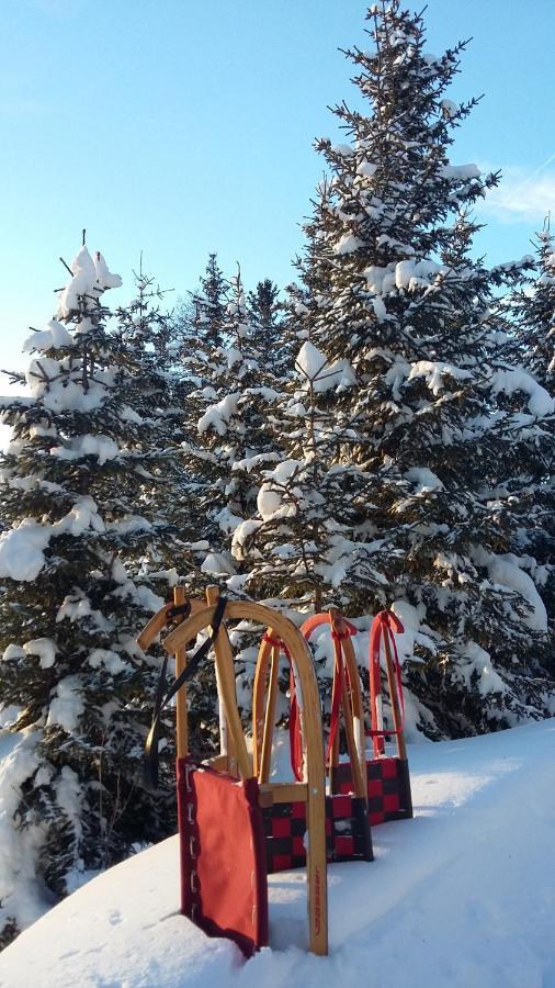 Apart Waldesruh Arzl im Pitztal Dış mekan fotoğraf
